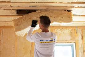 Best Attic Insulation Installation  in Cedar Springs, MI