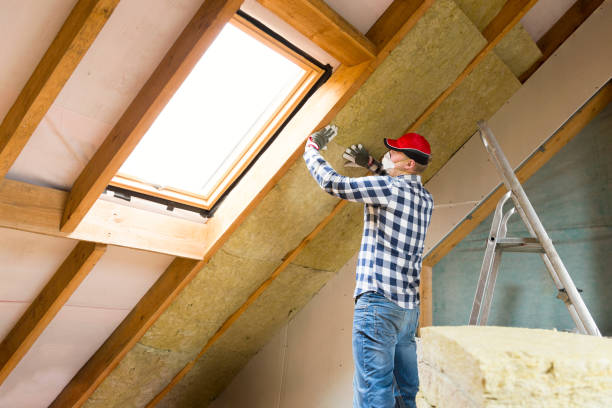  Cedar Springs, MI Insulation Services Pros