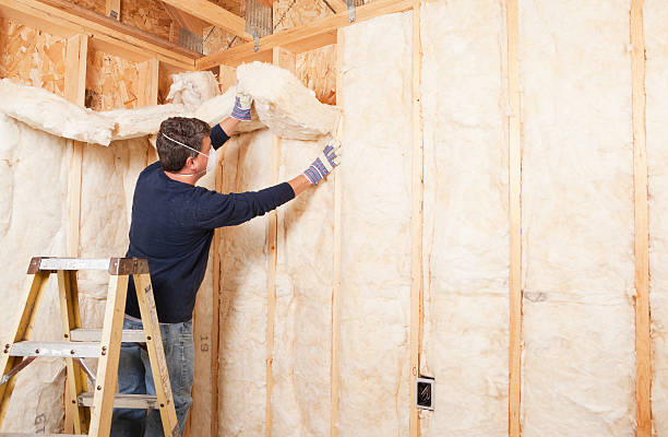 Trusted Cedar Springs, MI Insulation Services Experts